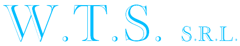 World Ttransport Service 2019 mobile flat